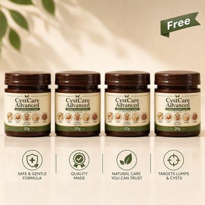 2 + 2 Free (4 Pcs)